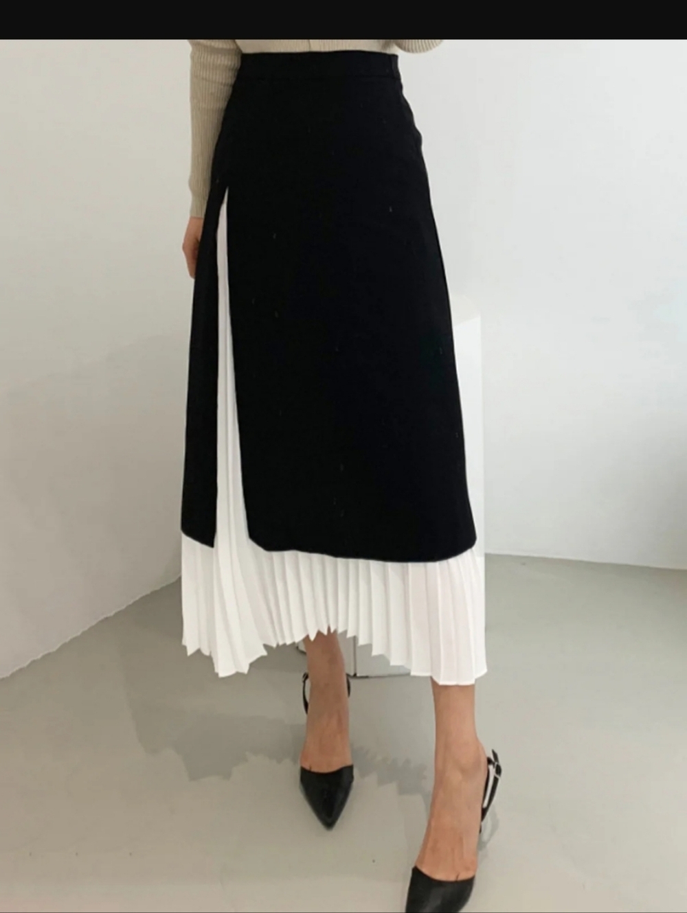 NWT Skirt